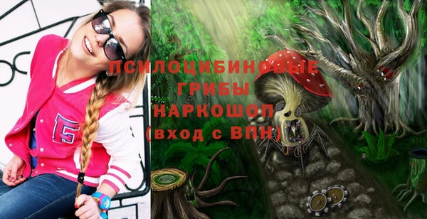 стафф Бородино