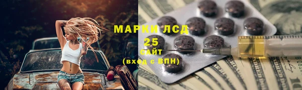 стафф Бородино