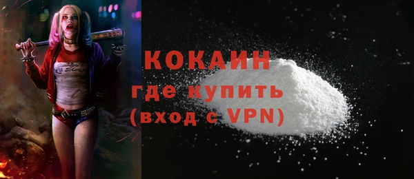дживик Бронницы