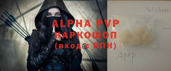 стафф Бородино