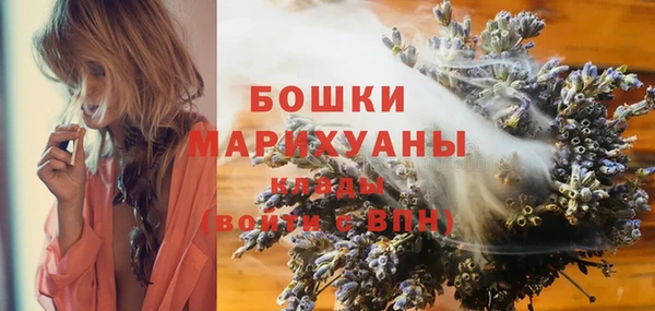 дживик Бронницы