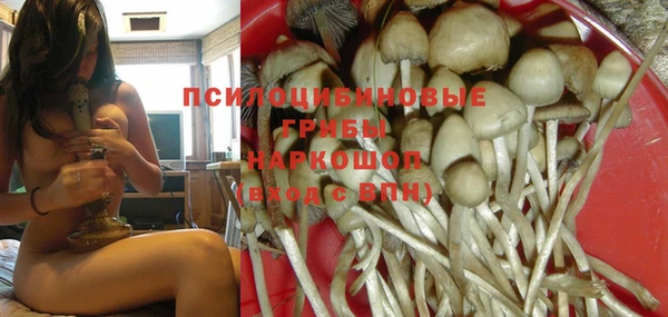дживик Бронницы