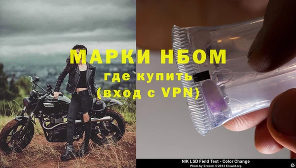 стафф Бородино