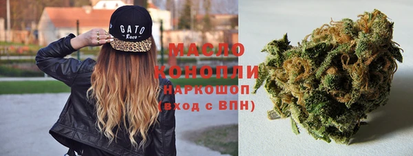 стафф Бородино
