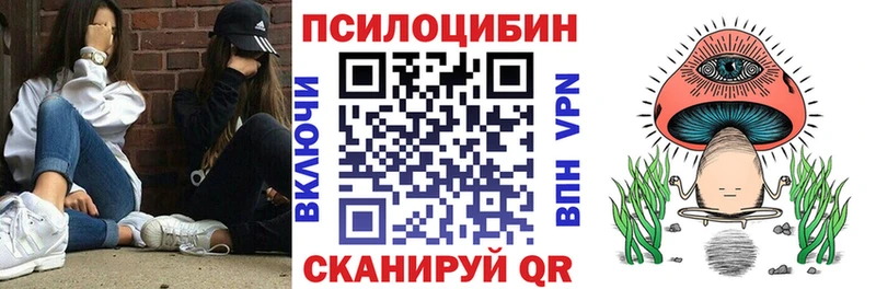 Галлюциногенные грибы Cubensis  купить наркотики сайты  Старица 